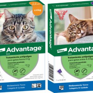 Advantage Gatos - Tratamiento antipulgas en pipeta