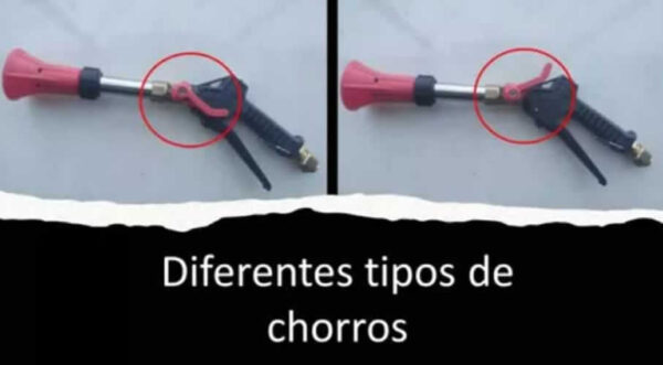 Pistola de fumigación para Palma - Image 2