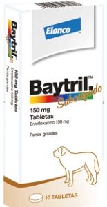 BAYTRIL Saborizado 150 mg agente antibacteriano bactericida de amplio espectro para perros grandes